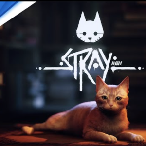 Stray completo disponible full